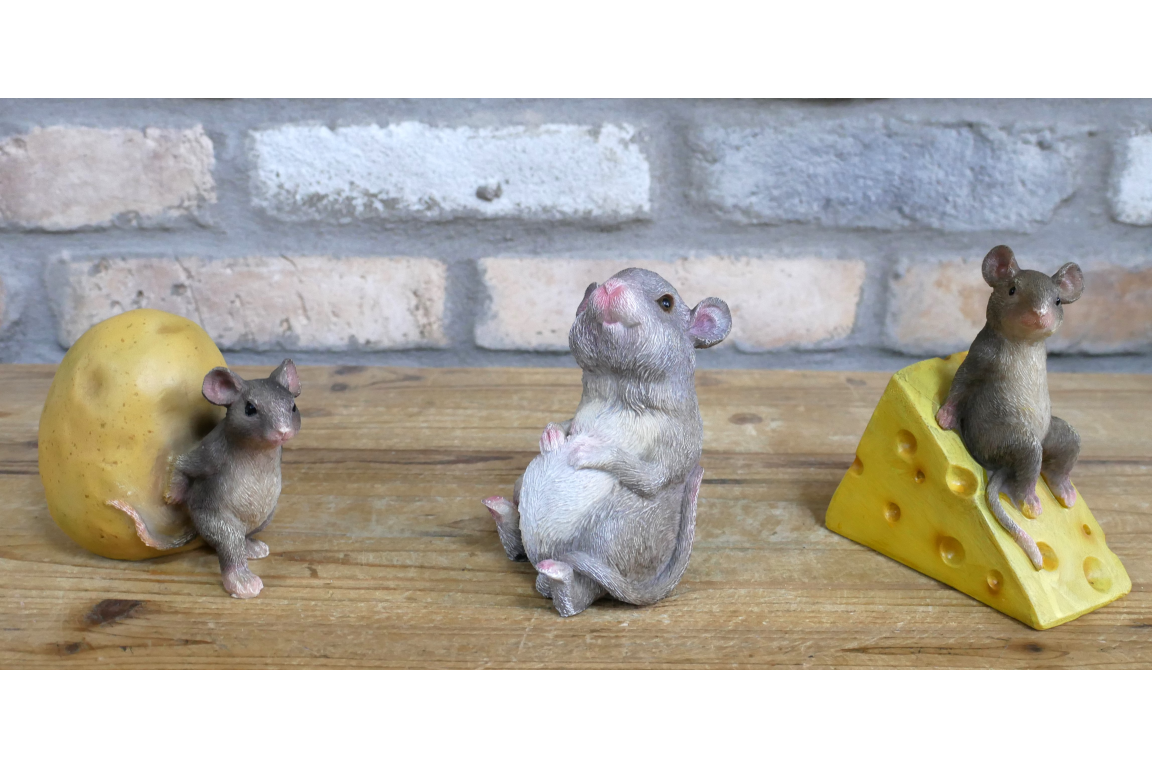 Mouse Sat On Cheese
