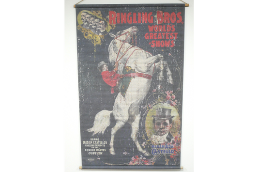 Canvas Wall Art - Horse