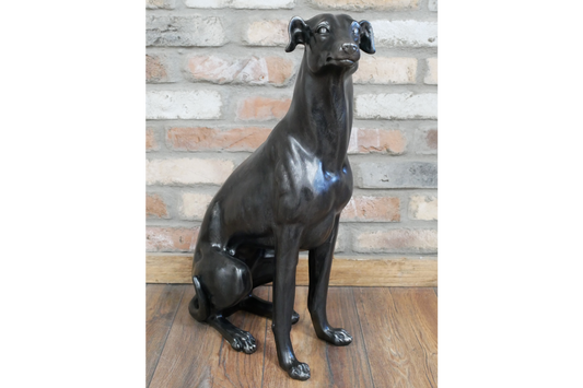 Sitting Whippet