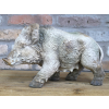Wild Boar