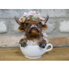 Highland Cow In Tea Cup