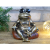 Smoking Frog