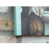 Highland Cow On The Loo - Canvas