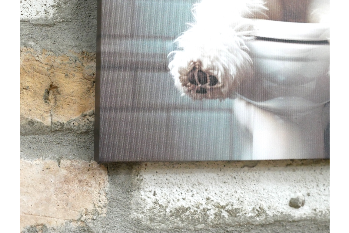 White Dog with Glasses Canvas Print - Funny Bathroom Canine Wall Art