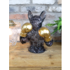 Frenchie Boxer - Translucent