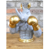 Rhino Boxer