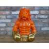 Lion Boxer