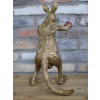 Kangaroo Boxer