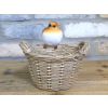 Robin On A Basket