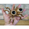 Golden Spider