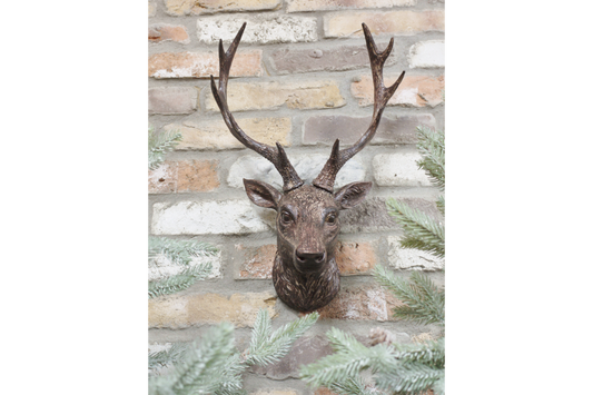 Stag Head