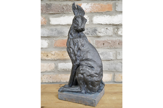 Hare