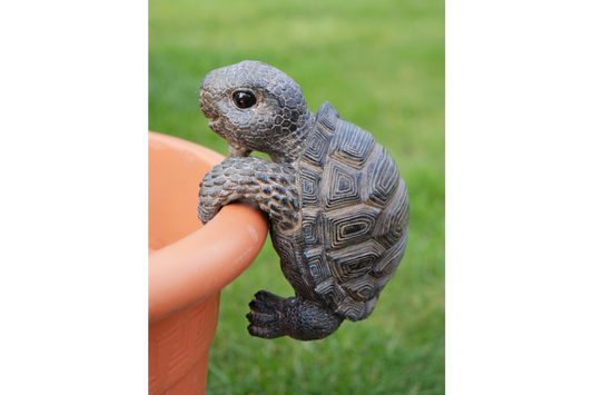 Pot Hanging Tortoise