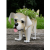 Labrador Planter