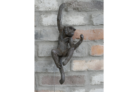 Hanging Monkeys