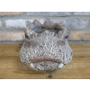Hippo Head Planter