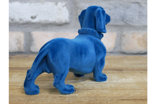 Blue Dachshund Dog