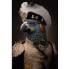 Parrot Wall Art