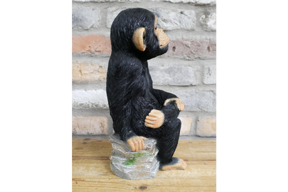 Monkey Sat On Rocks