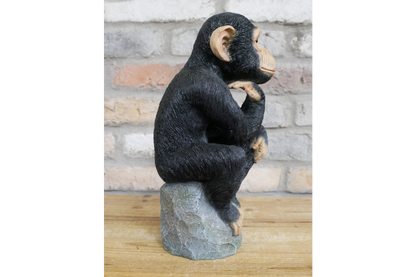Monkey Thinking