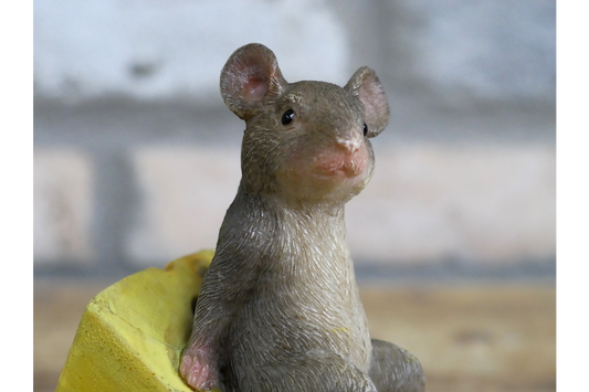 Mouse Sat On Cheese