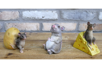 Mouse Sat On Cheese