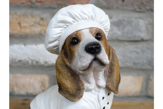 Dog Chef
