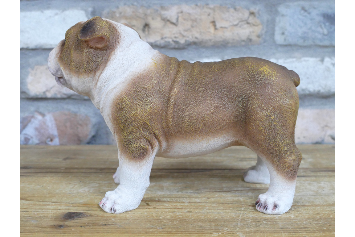 Bulldog