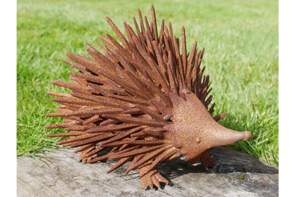 Rusty Hedgehog