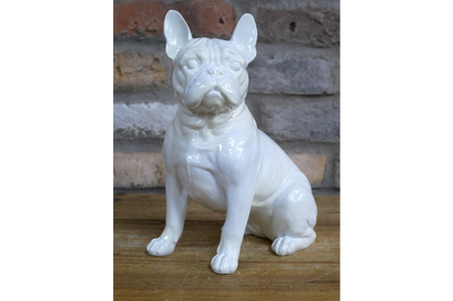 White Dog (Frenchie)