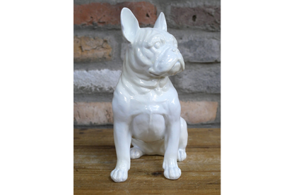White Dog (Frenchie)
