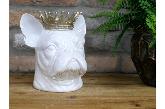 Frenchie With Crown