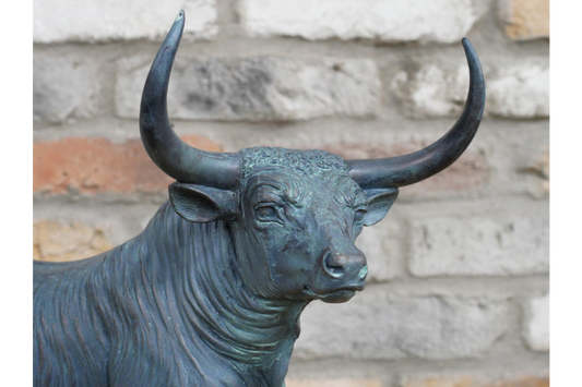 Bull