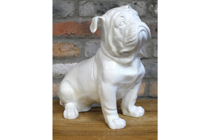White Bulldog