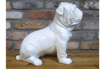 White Bulldog
