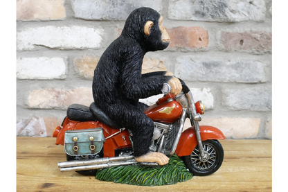 Monkey On Motorbike