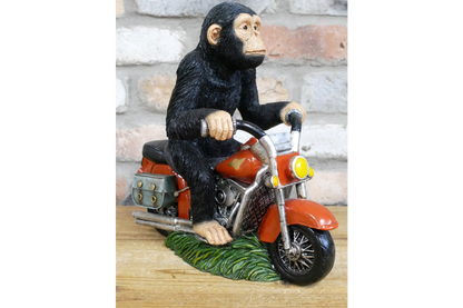 Monkey On Motorbike