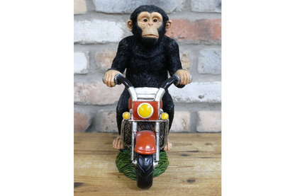 Monkey On Motorbike