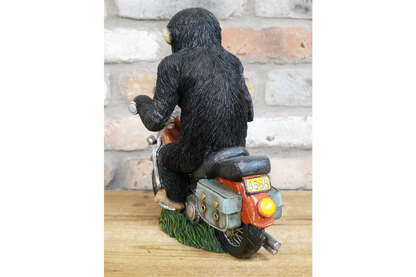 Monkey On Motorbike