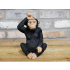 Little Loser Monkey