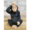 Little Loser Monkey