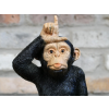 Little Loser Monkey