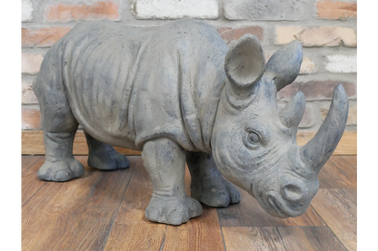 Rhino