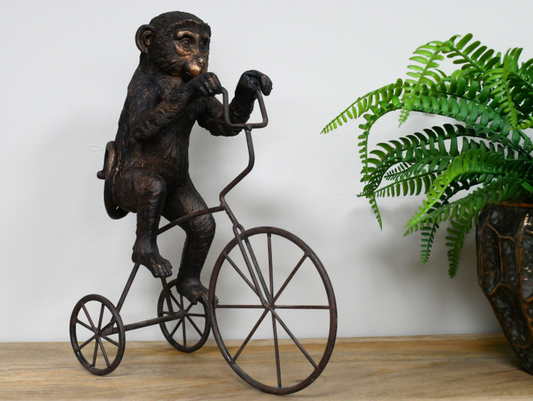 Monkey On Tricycle