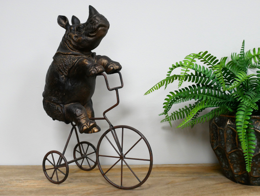 Rhino On Tricycle