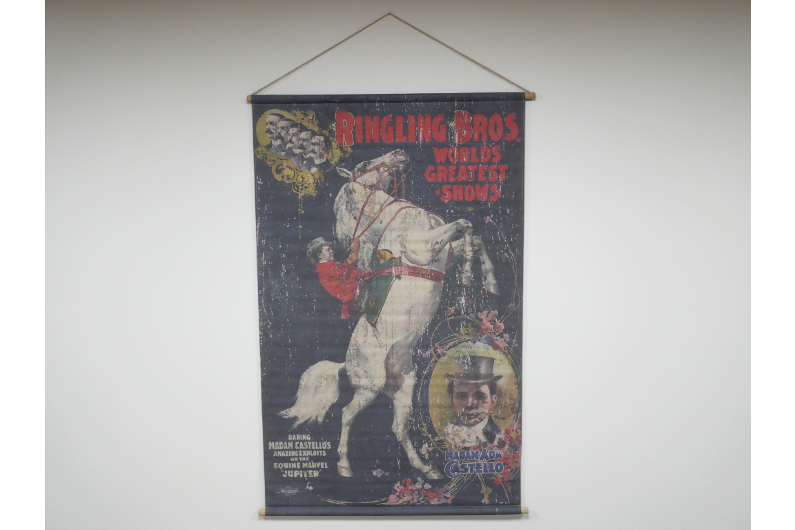 Canvas Wall Art - Horse