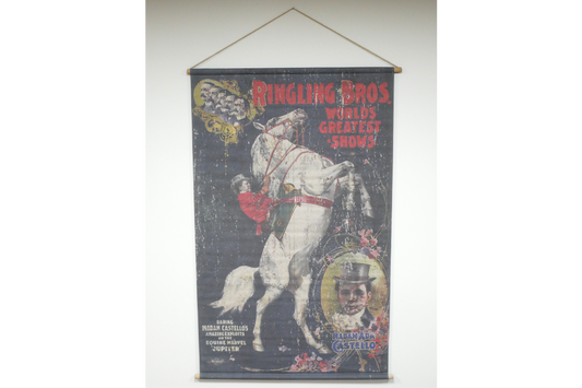 Canvas Wall Art - Horse