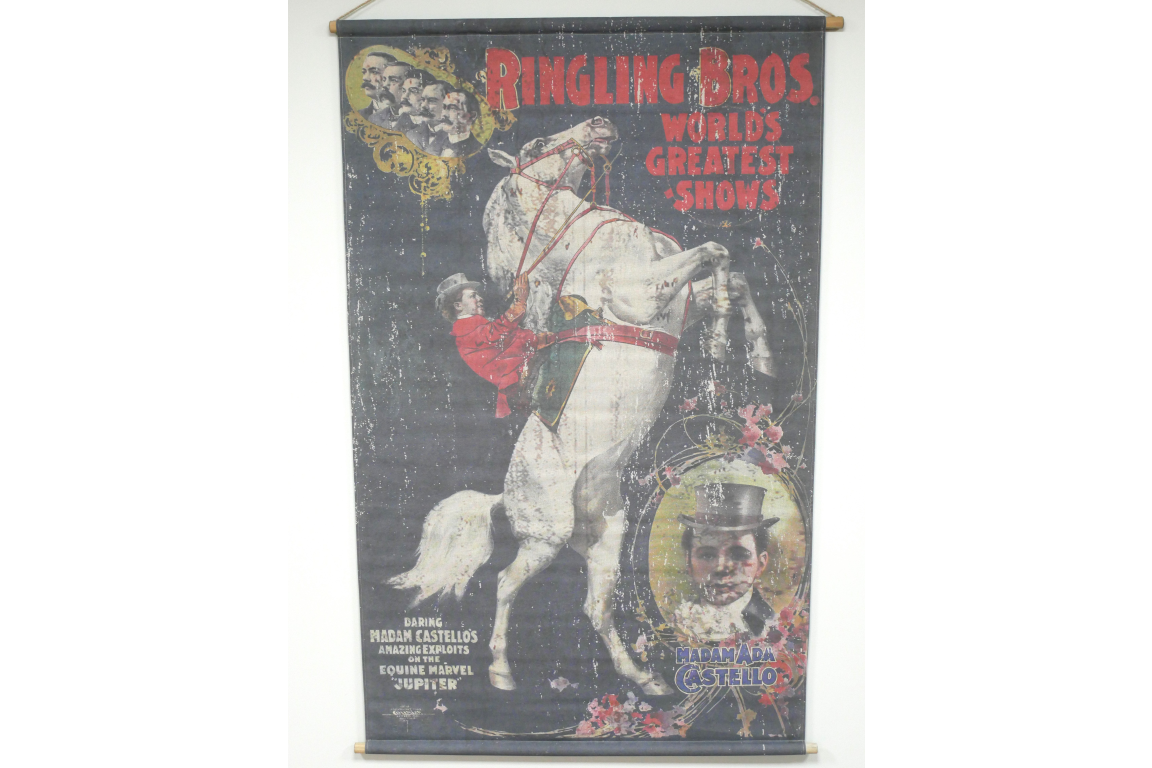 Canvas Wall Art - Horse