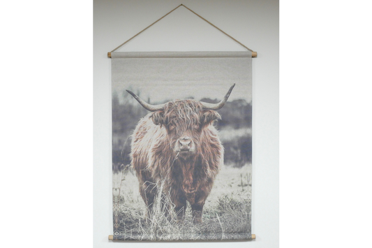 Canvas Wall Art - Highland Cow