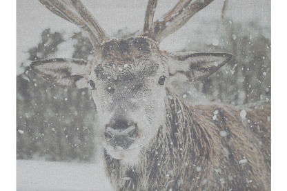 Canvas Wall Art - Stag